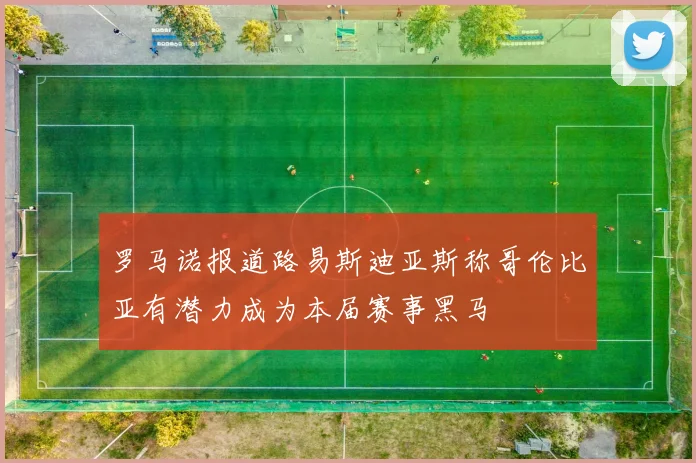 罗马诺报道路易斯迪亚斯称哥伦比亚有潜力成为本届赛事黑马
