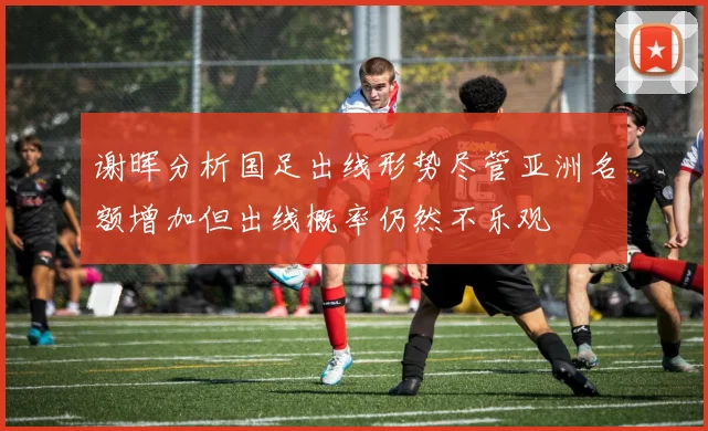 谢晖分析国足出线形势尽管亚洲名额增加但出线概率仍然不乐观