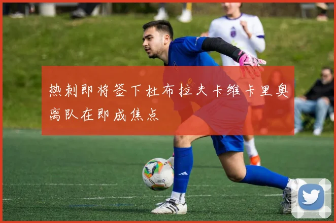 热刺即将签下杜布拉夫卡维卡里奥离队在即成焦点